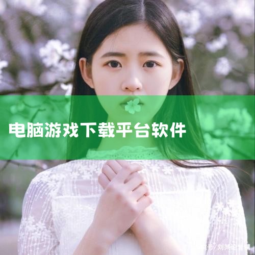 最大的下载游戏平台是什么,aippt软件下载,什么电脑游戏下载平台好一些呢?,P站专业版