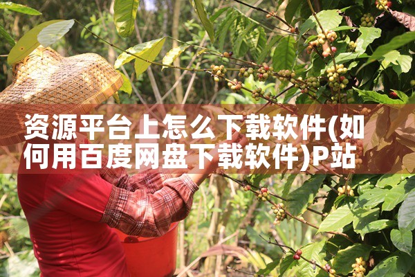 资源平台上怎么下载软件|P站专业版