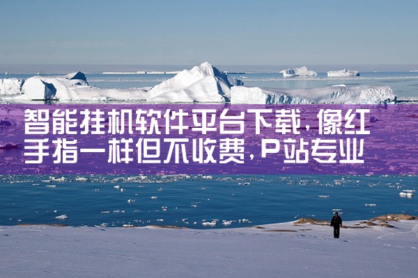 智能挂机软件平台下载|P站专业版