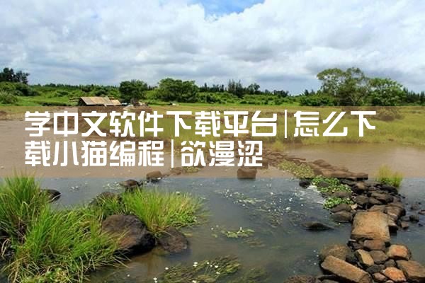 学中文软件下载平台|欲漫涩