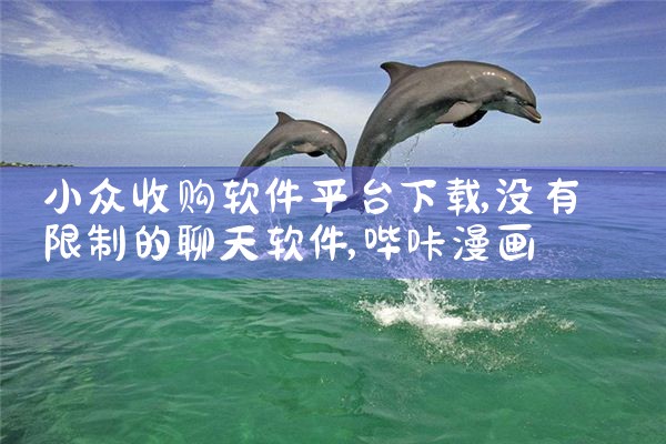 小众收购软件平台下载|哔咔漫画