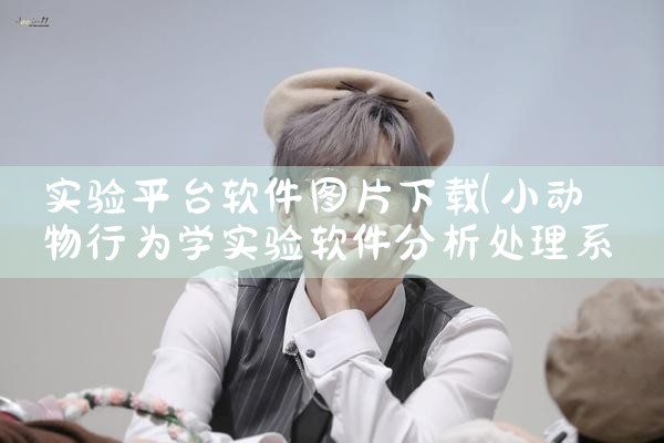 录歌平台软件下载安装|P站专业版
