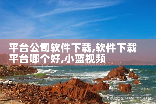 平台公司软件下载|小蓝视频