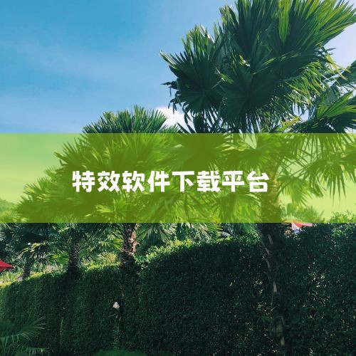 剪映Win10特效版（v9.2.5）下载与更新步骤如下：一、通过官网下载完整安装包（推荐）访问官网：打开浏览器，进入剪映官方网站。选择桌面端下载：在首页点击“桌面端下载”按钮，系统会自动识别Windo|小蓝视频