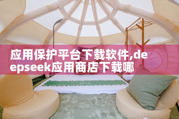 应用保护平台下载软件|P站专业版